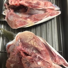 ぶりの頭の塩焼き オーブンでつくる レシピ 作り方 By まぼまぼまん 楽天レシピ ぶりの頭の塩焼き オーブンでつくる レシピ 作り方 By まぼまぼまん 楽天レシピ